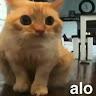 ElBoludo36
